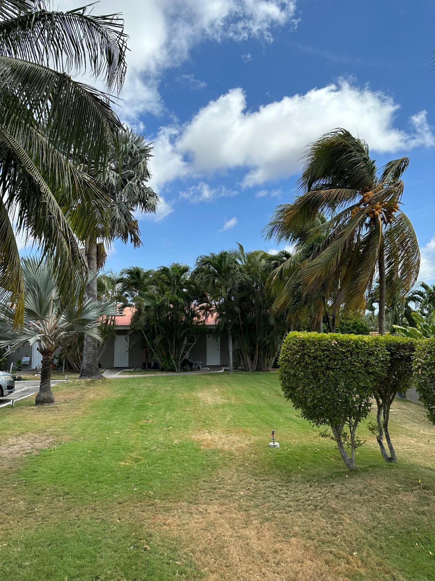 Windmill Apartments Curacao Willemstad Exteriér fotografie