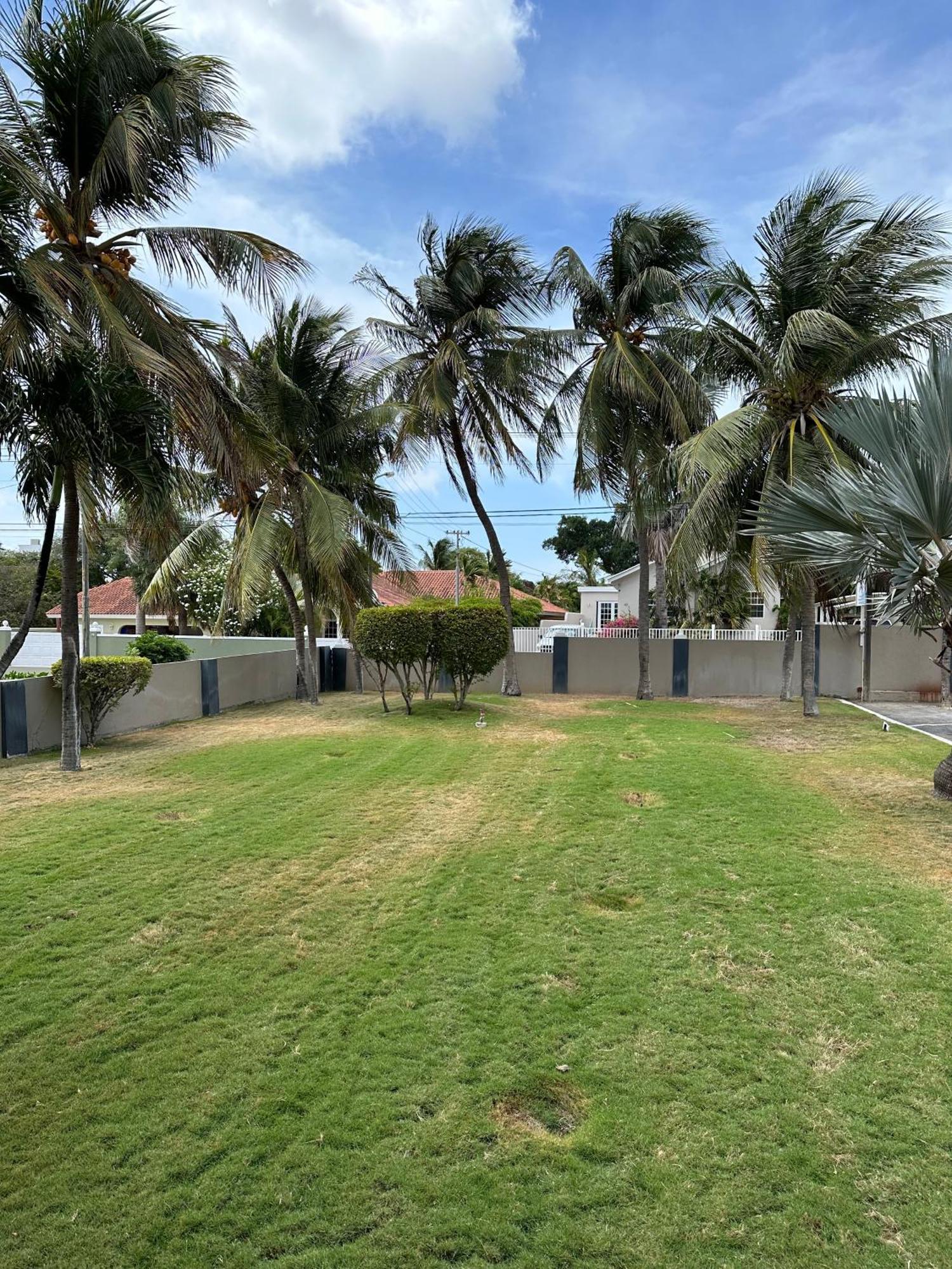 Windmill Apartments Curacao Willemstad Exteriér fotografie